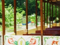 ZLATEN ROG (6)