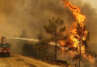 В Турции и Греции справляются с пожарами